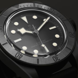 Tudor Blackbayceranic2