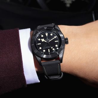 Tudor Blackbayceranic1